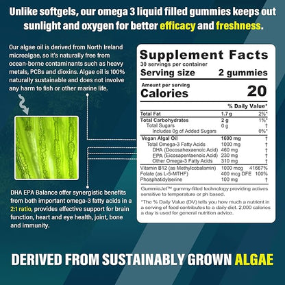 Vegan Omega 3 Gummies+ Vitamin B100 Complex Gummies