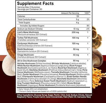NEW AGE Mushroom Lion's Mane Supplement Gummies - Mushroom Supplement with Reishi, Cordyceps - 60 Count