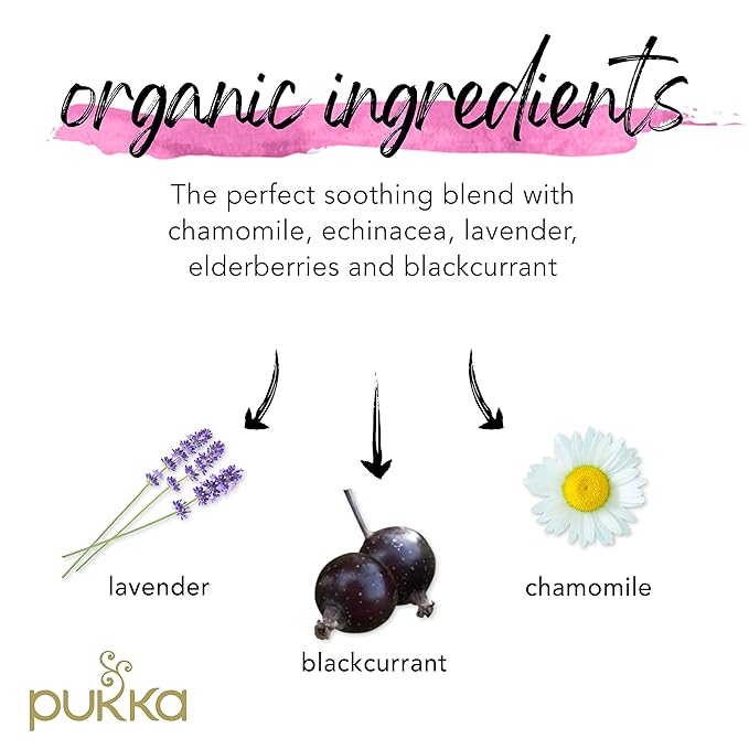 Pukka Organic Tea Bags, Night Time Berry Herbal Tea with Chamomile, Echinacea, and Elderberry, Perfect for Overnight Wellness, 20 Count (Pack of 3), 60 Tea Bags