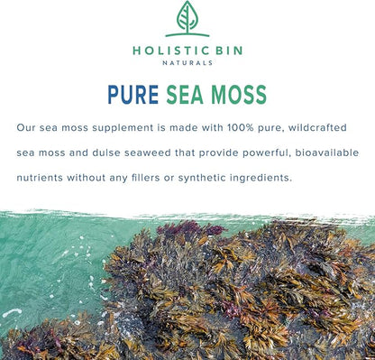 Holistic Bin Organic Sea Moss Capsules 100% Pure Caribbean Sea Moss + Dulse Seaweed | Wild Harvested | No Fillers | Rich in Antioxidants, Minerals, and Iodine (40 Capsules)