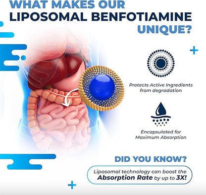 Liposomal Benfotiamine with Vitamin B6, Vitamin B12, Alpha Lipoic Acid, Curcumin - Support Healthy Metabolism, Energy Levels- Made and Tested in The USA