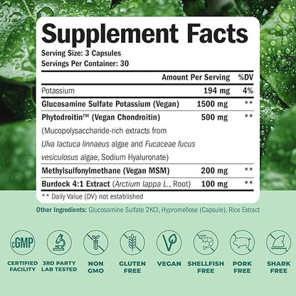 Vegan Glucosamine Chondroitin MSM - 100% Vegan Joint Support Supplement for Women & Men with Burdock and Glucosamine Sulfate 1500 mg. Used for Cartilage and Joint Health and Flexibility - 90 Capsules