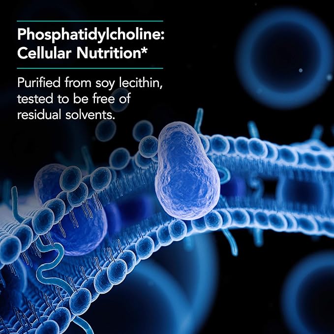 Nutricology Phosphatidyl Choline Supplement - Lecithin Capsules, Digestive Enzymes for Liver, Fat Digestion Support, Choline Supplements for Fatty Liver, 1540mg Softgels - 100 Count