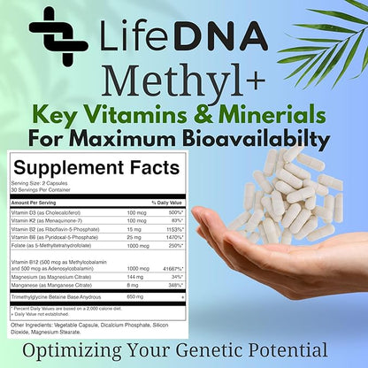 Methyl+ Methylated Multivitamin Complex with Methylfolate & TMG for Optimized Homocysteine, Brain, Cardiovascular & Neurotransmitter Support