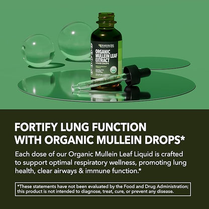 Mullein Drops for Lungs - USDA Organic Liquid - Respiratory Health and Lung Support Supplement - 2 Fl Oz - Vegan, Non-GMO, and Alcohol Free Formula - Daily Herbal Tincture - 2 Month Supply