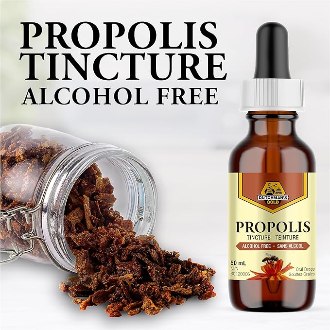 Dutchman's Gold Propolis 20% Tincture - Alcohol Free - 50 ml