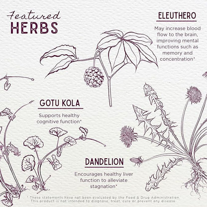 WishGarden Herbs Genius Juice - Liquid Herbal Nootropic Brain Booster Supplement for Focus, Clarity, Concentration & Energy with Ginkgo Biloba & Gotu Kola, Cognitive Support, No Caffeine, 4oz