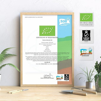 Organic Milk Thistle Powder 150g - Source of Cleansing Silymarin - Made from Cold-Pressed Milk Thistle - Vegan, Raw, Non-GMO.