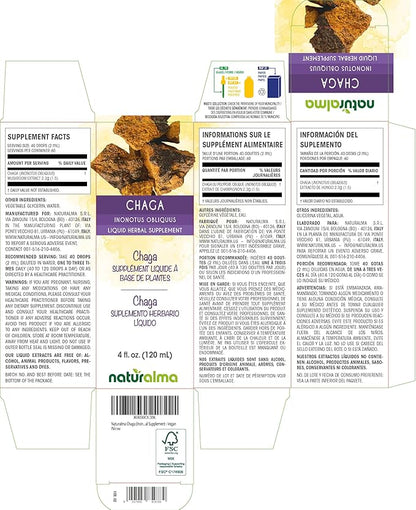 Naturalma Chaga (Inonotus obliquus) Fungus or Mushroom Alcohol-Free Tincture - 4 fl oz Liquid Extract in Drops - Herbal Supplement - Vegan