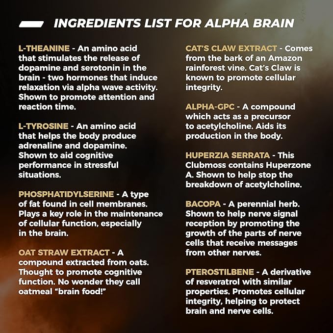 ONNIT Alpha Brain Premium Nootropic Brain Supplement for Men & Women - Caffeine-Free Focus Capsules for Concentration, Brain Booster & Memory Support 90 Count (Pack of 2)