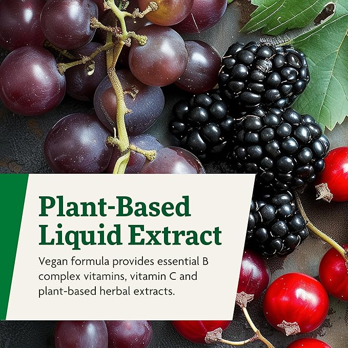 Floradix Floravital Liquid Iron & Vitamins Formula - Liquid Iron Supplement with B Complex Vitamins, Vitamin C & Herbs for Energy Support - Vegan, Gluten-Free, Yeast- Free, Non-GMO - 8.5 Fl Oz