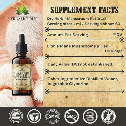 Lion’s Mane Liquid Mushroom Supplement – Premium Mushroom Extract Brain Supplement for Memory Focus, Clarity and Nerve Support – Non-Gluten and Non-GMO Supplement Lions Mane 2 Fl Oz