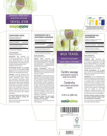 Naturalma Wild Teasel or Fuller's Teasel (Dipsacus fullonum or D. sylvestris) Root Alcohol-Free Tincture - 6.76 fl oz Liquid Extract in Drops - Herbal Supplement - Vegan