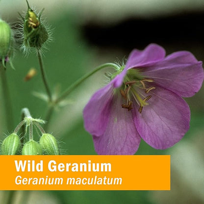 Herb Pharm Wild Geranium (Cranesbill) Liquid Extract - 1 Ounce