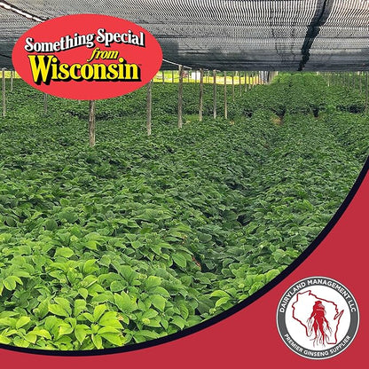 Dairyland American Ginseng Powder 8 oz and Capsules 75 ct Pack of Wisconsin Ginseng – Direct from Farmer to Consumer 西洋参