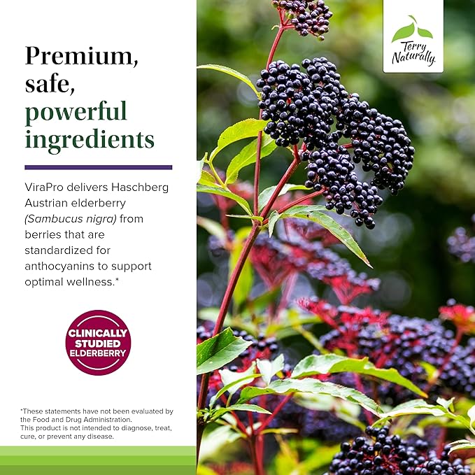 Terry Naturally ViraPro - Supplement with Herbal Blend for Immune Support - Supplement with Elderberry, Zinc & Selenium - Support Immune Response - 60 Tablets