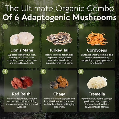 Longevity Botanicals Super Six Organic Mushroom Blend 100g | Reishi, Lion’s Mane, Chaga, Cordyceps, Tremella & Turkey Tail | Extract Powder Mix | 10:1 Ratio | 100% Fruiting Bodies | Mushroom Complex