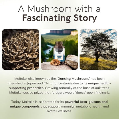 Longevity Botanicals Organic Maitake Mushroom Extract Capsules (120) | Concentrated 10:1 Ratio | 100% Fruiting Bodies | Grifola frondosa Natural Supplement for Gut Health & Immunity Support