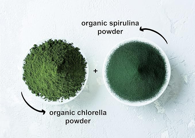Food to Live Organic Algae Powder Mix, 16 Pounds – Spirulina and Chlorella 50/50 Blend, Non-GMO, Rich in Chlorophyll, Raw, Pure, Vegan Superfood, Bulk, Great for Smoothies, Good Source of Protein