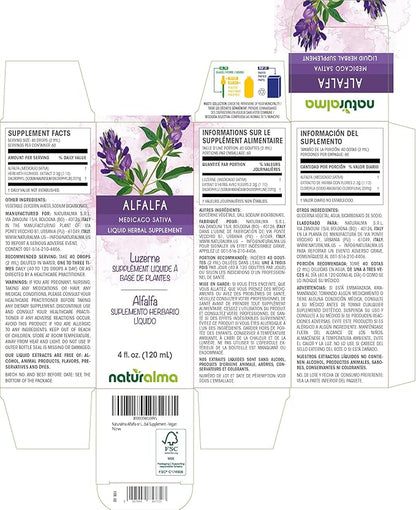Naturalma Alfalfa or Lucerne (Medicago Sativa) herb with Flowers Alcohol-Free Tincture - Rich in Natural Chlorophyll - 4 fl oz Liquid Extract in Drops - Herbal Supplement - Vegan