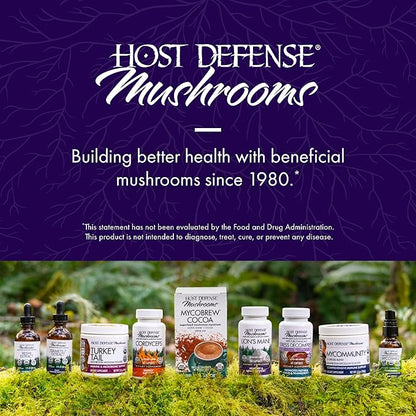 Host Defense BrainPower Stack Powder - Targeted Brain Support Supplement - Powder Mushroom Supplement with Lion's Mane, Niacin (B3) & Vitamin B12 - Herbal Brain Support - 100g (66 Servings)*