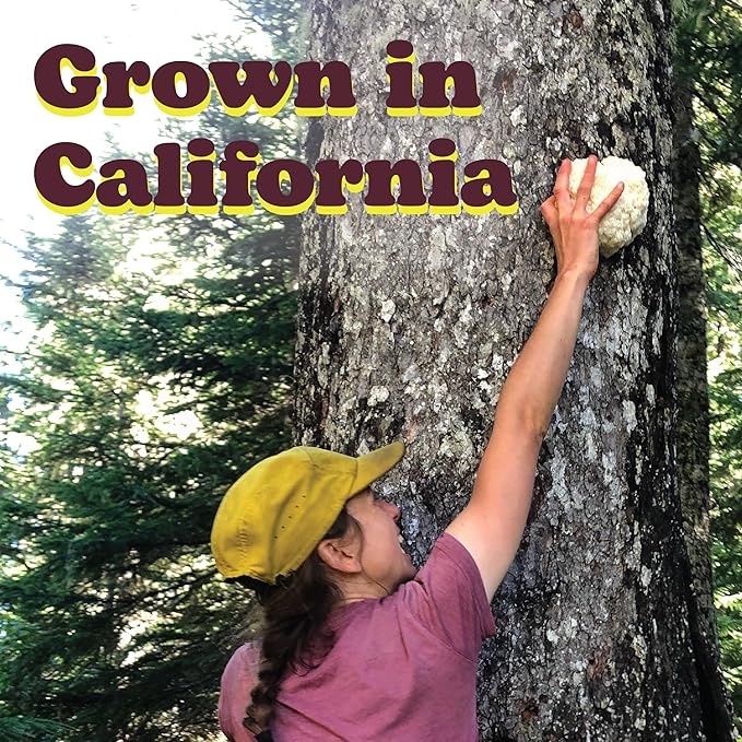 Wilderness Poets, Organic Lions Mane Mushroom Powder - California Grown - Bulk Size (16 Ounce - 1 Pound)