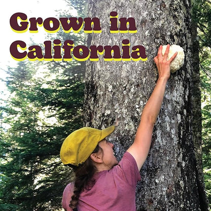 Wilderness Poets, Organic Lions Mane Mushroom Powder - California Grown - Bulk Size (16 Ounce - 1 Pound)