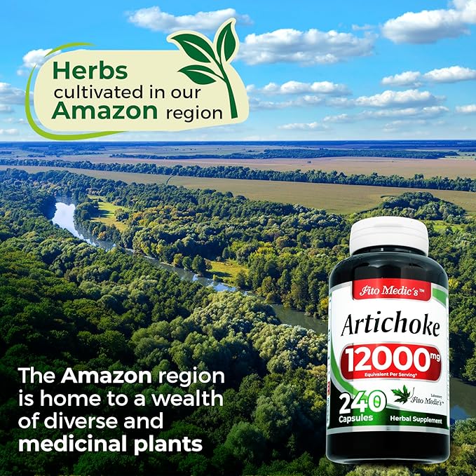 FITO MEDIC'S Lab | Artichoke Extract | Artichoke Extract Capsules |240 Capsules |12000 mg | Artichoke |Artichoke Supplement | alcachofa.