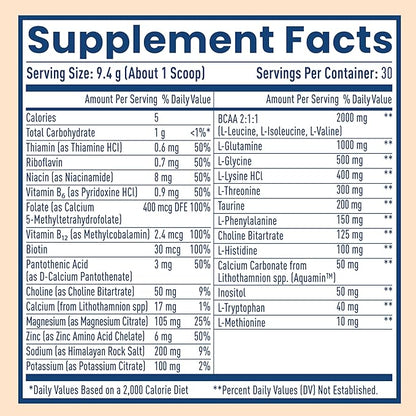 NativePath Native Hydrate, Zero Sugar, Electrolytes Powder with BCAAs, Tangerine Hydration, Keto & Paleo Friendly, 30 Servings