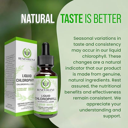 Benevolent Chlorophyll Liquid Drops – Organic Detox & Immune Support, Internal Deodorizer & Skin Health Supplement, Non-GMO, 4 Month Supply, Natural Mint Flavor