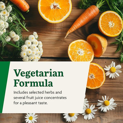 Floradix Magnesium - Liquid Herbal & Mineral Supplement for Bone Support, Digestive Health & More - Vegetarian, Non-GMO - 16.9 fl oz