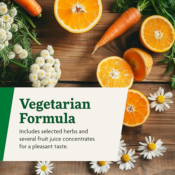 Floradix Magnesium - Liquid Herbal & Mineral Supplement for Bone Support, Digestive Health & More - Vegetarian, Non-GMO - 8.5 fl oz