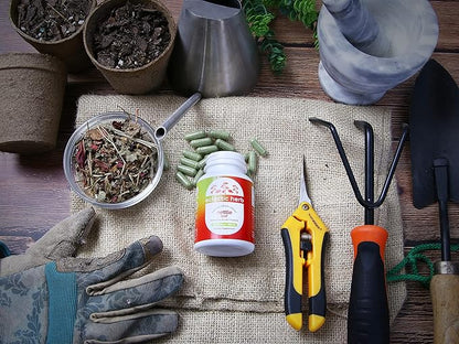 Eclectic Institute Raw Freeze-Dried Non-GMO Nettle Leaf | Healthy Sinus Support, Histamine Response & Respiratory Wellness | 90 CT