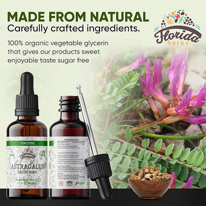 Astragalus Tincture, Organic Astragalus Extract (Astragalus membranaceus) Herbal Supplement, Non-GMO in Cold-Pressed Organic Vegetable Glycerin, 700 mg, 2 oz (60 ml)