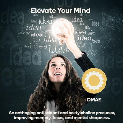 Focus - Premium Cognitive Enhancement Supplement with Natural Nootropics - Memophenol, Bacopa, & DMAE - 60 Veggie Capsules (Focus)