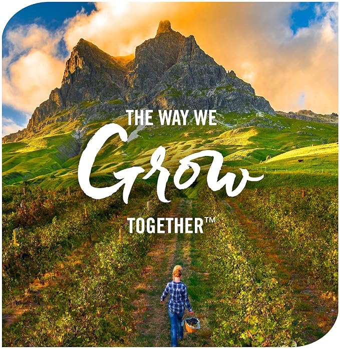 Nature's Way Sambucus Immune* Elderberry Syrup with Echinacea, Zinc & Vitamin C, 4 Oz (Pack of 2)