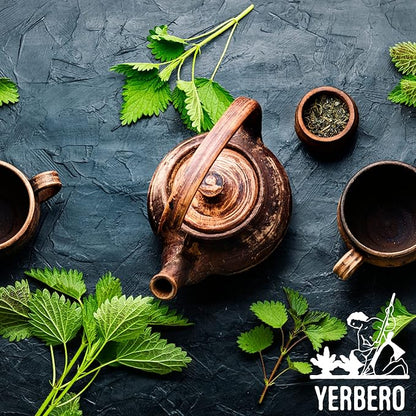 Yerbero - Stinging Nettle Leaf & Root Loose Tea 4oz (113 gr) | Urtica Dioica | Makes 30+ Cups | Wildcrafted, Stand Up Resealable Bag | Crafted By Nature100% All Natural, non-GMO, Gluten-free.