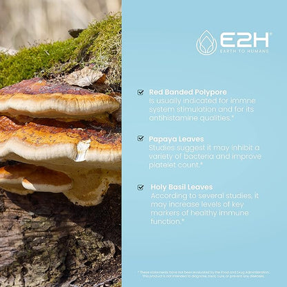 E2H Advanced Immune Defense Supplement - All-Natural Immune Booster - Immune Support Supplements Drops - Contains Holy Basil, Papaya Leaves and Red Banded Polypore - Non-GMO, Vegan (2 Bottles)