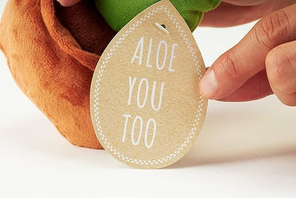 Hug Feel The Love Soil Mates – Aloe – Plush Plant Home Decor, Plush Shelf Decor, Cute Home Decor, Lil’ Seedlings Plush Toy, Thoughtful Message, 9 inches