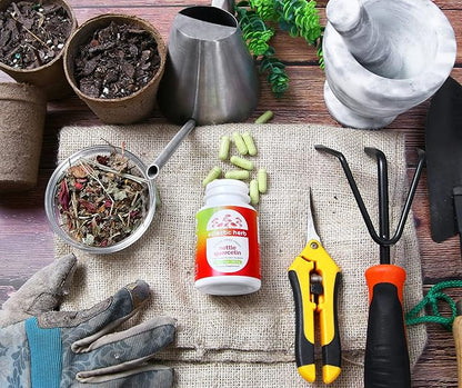 Eclectic Herb - Nettle Quercetin Capsules | Non-GMO, Vegan | 90 CT