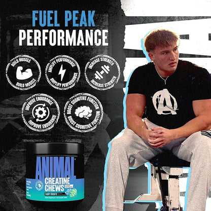 Animal Creatine Chews – Enhanced Creatine Monohydrate Chewable Tablets with AstraGin & Sea Salt, Max Absorption Pre Post-Workout, Lean Muscle Growth, Strength & Recovery, New Flavor Candy Crush’d