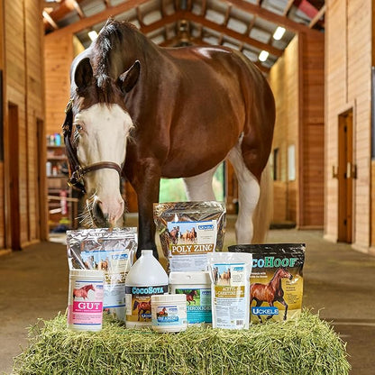 Uckele by SmartEquine Poly Zinc Pellets | Pelleted Zinc Supplement for Horses | Hoof Care Vitamins and Minerals Pellets | Supports Bone and Hoof Wellness | Equine Skin Coat Supplement | 5 lb