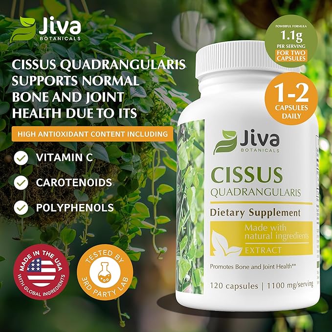 Jiva Botanicals Cissus Quadrangularis Capsules 550 mg - High Potency Cissus Powder Extract for Normal Bone Health & Normal Joint Support - Made in The USA - 120 Capsules