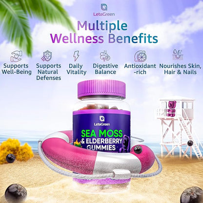 Irish Sea Moss and Black Seed Oil Gummies Bundle – 120 Vegan Gummies Bears - Elderberry for Kids & Adults - Nigella Sativa with Ashwagandha & Honey