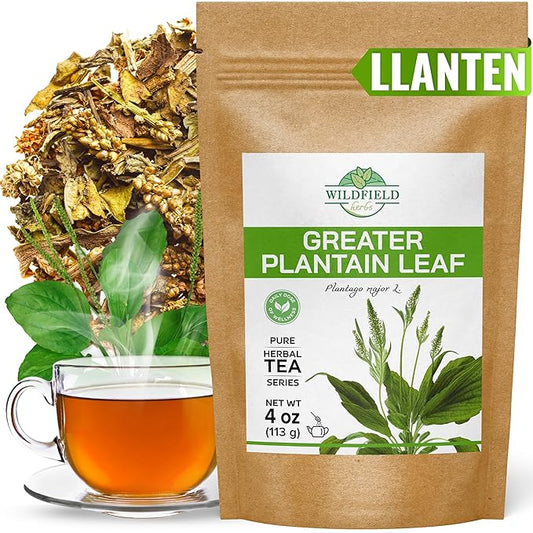 4 oz. Broadleaf Plantain Leaf Herb Tea Dried Plaintains Leaves (Plantago Majoris Folia) - 113g Greater Plantain Leaf Tea Llanten