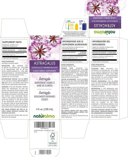 Naturalma Astragalus (Astragalus membranaceus) Root Alcohol-Free Tincture - 4 fl oz Liquid Extract in Drops - Herbal Supplement - Vegan