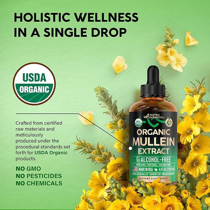 Mullein Drops for Lungs - USDA Organic Liquid - Mullein Leaf Extract Supplement - Made in USA - Lung & Bronchial Cleanse for Smokers - Respiratory Health Support - As Tincture, Tea, Pills - Pack of 2
