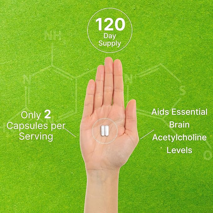 DEAL SUPPLEMENT Alpha GPC 600mg Per Serving, 240 Capsules – Bioavailable Choline Replenishment –Nootropic Brain Health Supplements for Memory and Focus – Non-GMO, Gluten Free