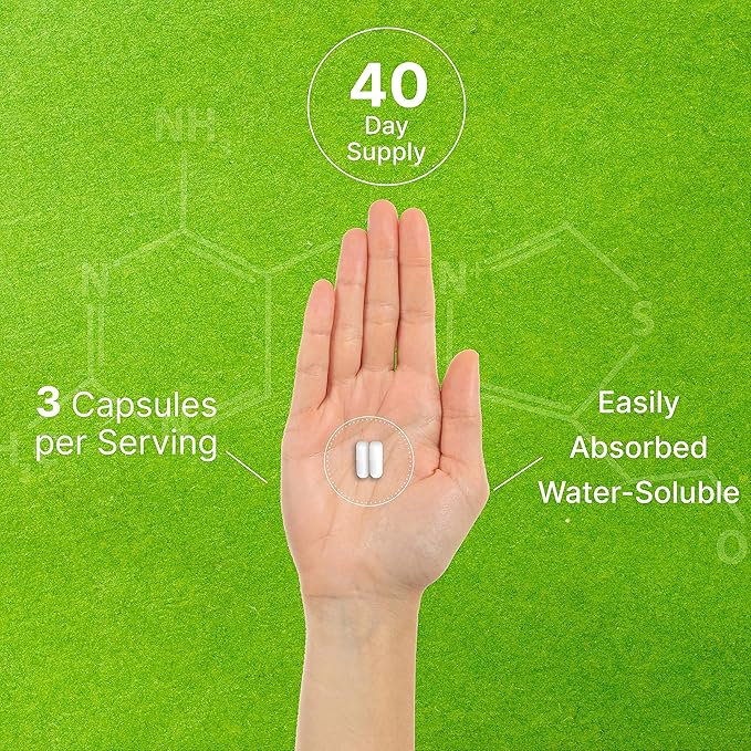 DEAL SUPPLEMENT Citicoline CDP Choline, 1,000mg Per Serving, 120 Capsules – Extra Strength Choline Supplements – Nootropic B Vitamin Properties – Promotes Brain Health, Memory, & Focus – Non-GMO