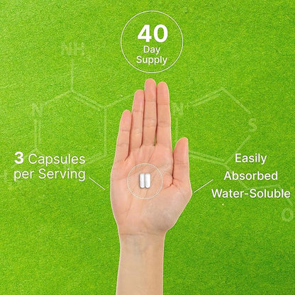 DEAL SUPPLEMENT Citicoline CDP Choline, 1,000mg Per Serving, 120 Capsules – Extra Strength Choline Supplements – Nootropic B Vitamin Properties – Promotes Brain Health, Memory, & Focus – Non-GMO